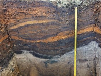 Определяем тип и характеристики грунта самостоятельно без лаборатории