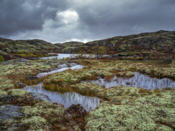 Особые грунтовые условия: многолетняя мерзлота