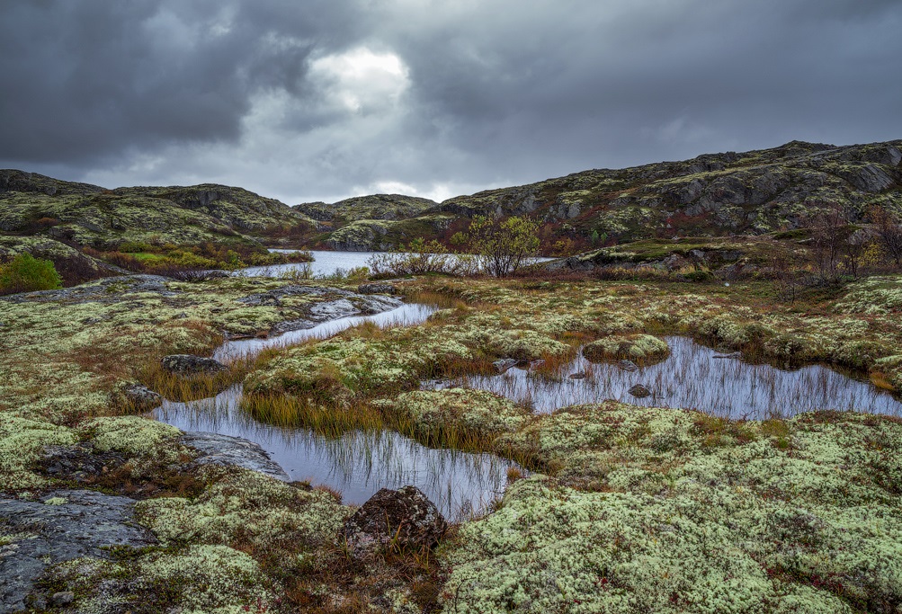 Особые грунтовые условия: многолетняя мерзлота